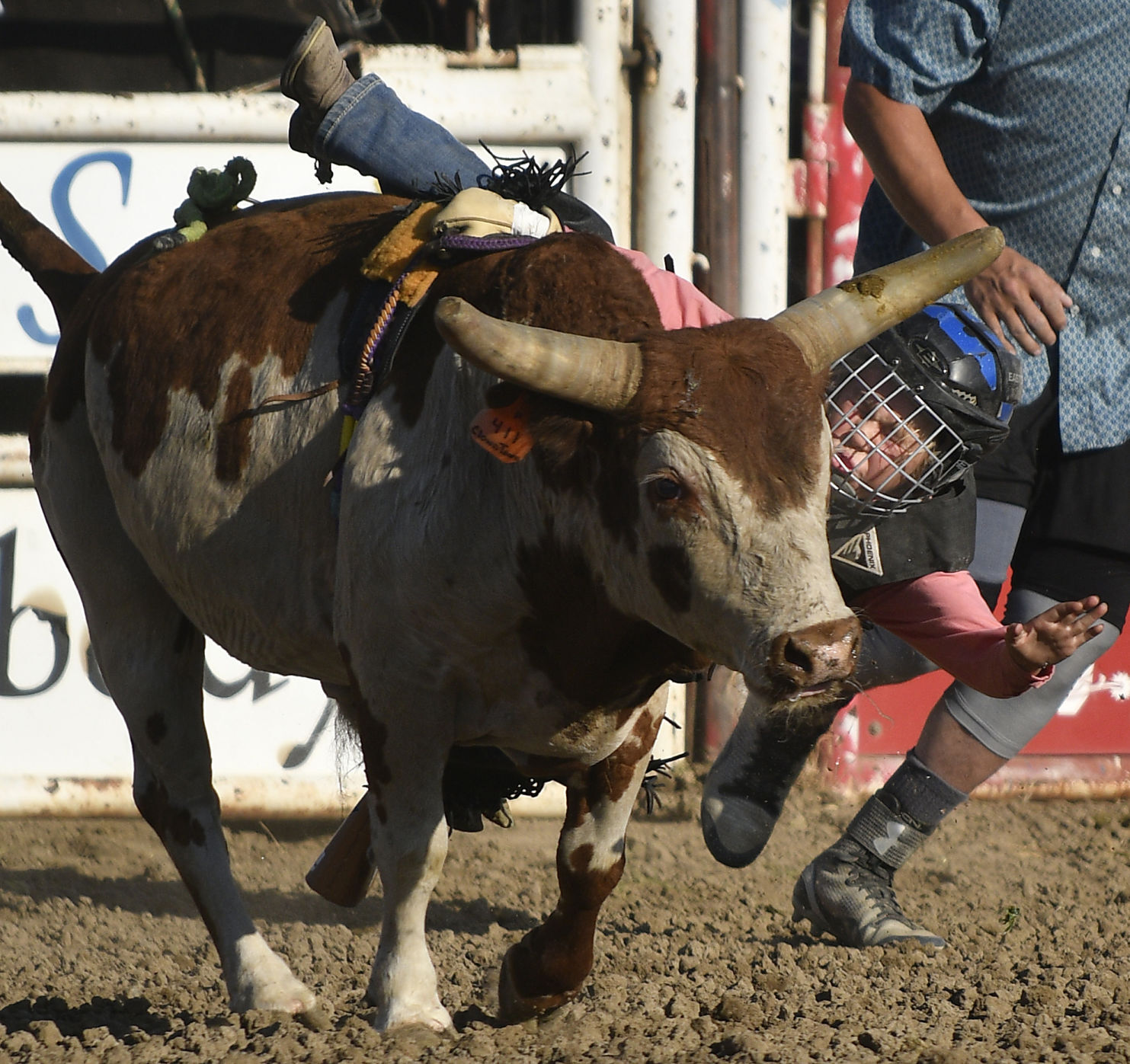 Lincoln County Mini Bull Riding